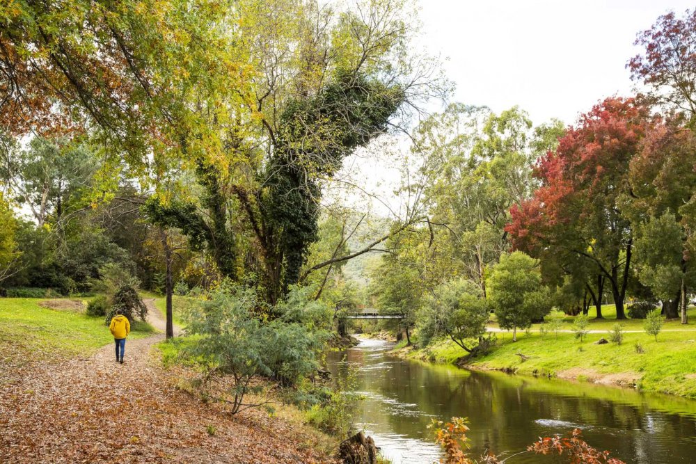 AU Private Tours High Country Bright in autumn AU Private Tours High Country Bright in autumn